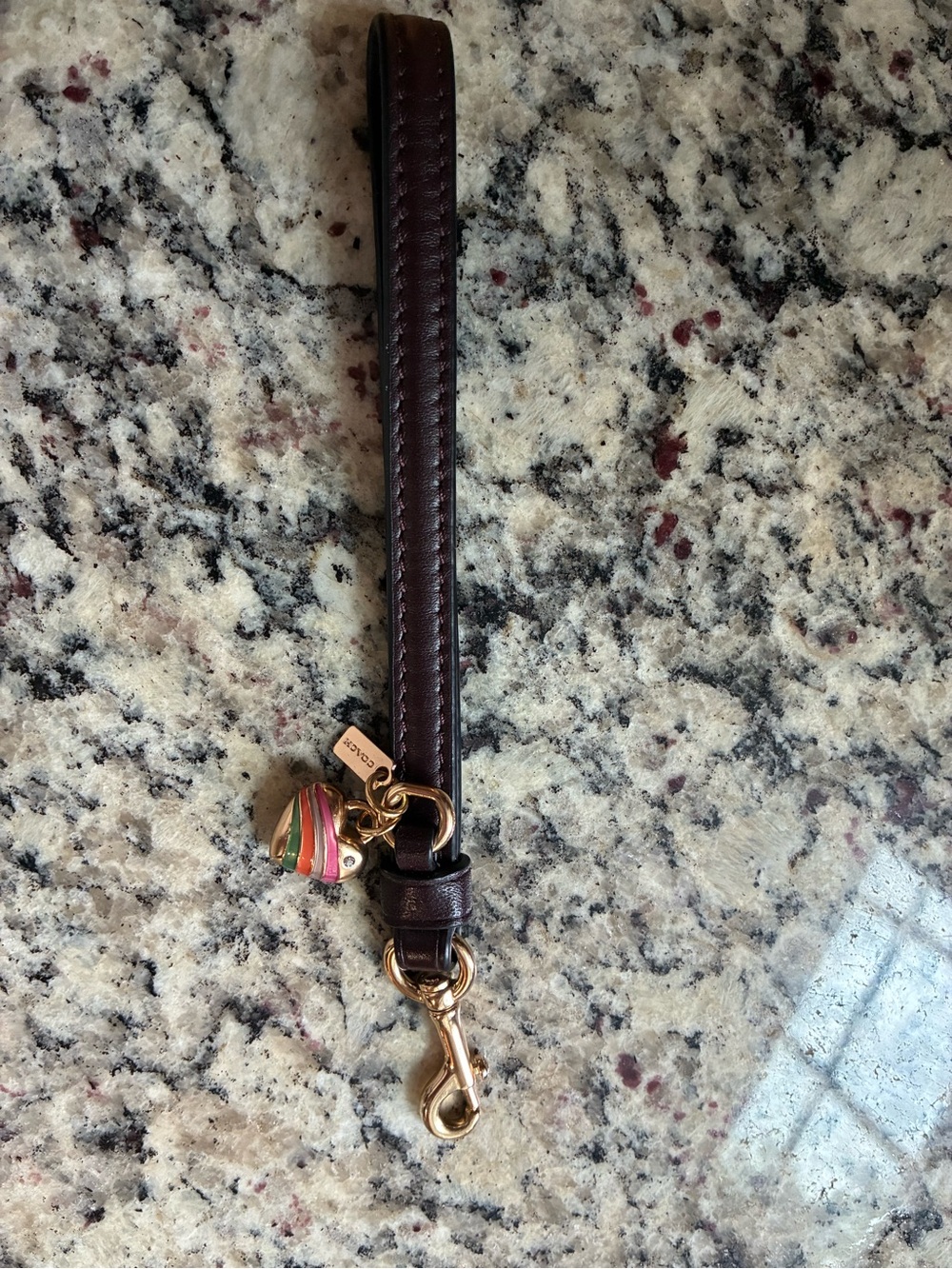 Coach Dark Brown Leather Wristlet with Multicolor Enamel Charm